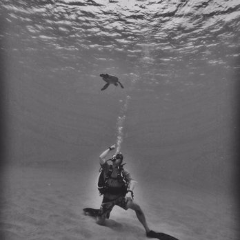 Island Divers Hawaii - Scuba Diving Near Me - Schofield Barracks, Hawaii Island Divers Hawaii - Scuba Diving Near Me - Schofield Barracks, Hawaii