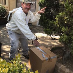 Tenacity Bee Rescue - Bees removed from shrub and in the box for transport to new hive