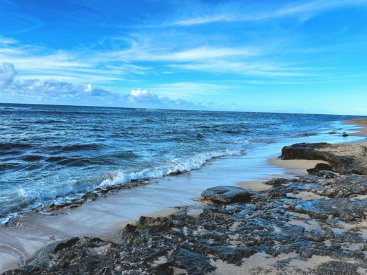 Diamond Head Beach Park by null