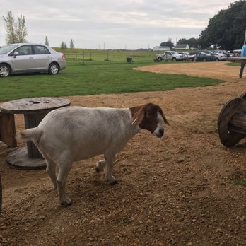 Pleasant Grove Pizza Farm - We got a runner! - Pizza Near Me - Waseca, Minnesota Pleasant Grove Pizza Farm - We got a runner! - Pizza Near Me - Waseca, Minnesota