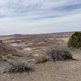 Petrified Forest National Park - Parks Near Me - Petrified Forest, Arizona