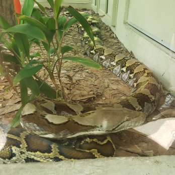 Naples Zoo - Zoos Near Me - Naples, Florida