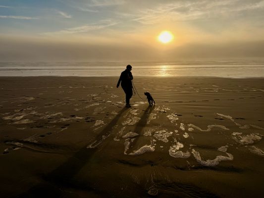 Kalaloch Campground by null
