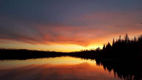 Golden Eagle Lodge by null