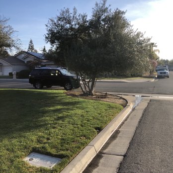 Travis Tree Service - Removal of two olive trees. - Tree Services Near Me - Fresno, California Travis Tree Service - Removal of two olive trees. - Tree Services Near Me - Fresno, California