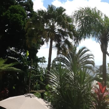Wild Ginger Hotel - View from the lobby - Hotels Near Me - Hilo, Hawaii Wild Ginger Hotel - View from the lobby - Hotels Near Me - Hilo, Hawaii