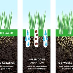 Inch's Natural Lawn Care - Aeration benefits