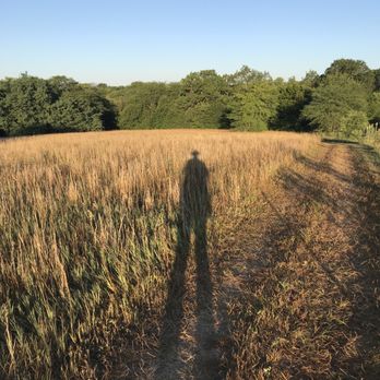 Pony Express RV Park - Morning walks... - Campgrounds Near Me - Maysville, Missouri Pony Express RV Park - Morning walks... - Campgrounds Near Me - Maysville, Missouri