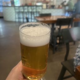 Handyman Special - American Pale Ale