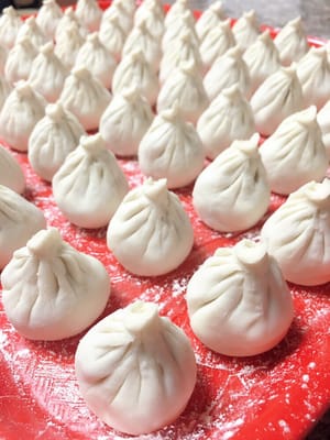 Yummy Dumpling by null