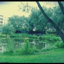 Park Moczydełko