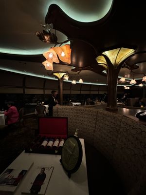 Disney Dream by null
