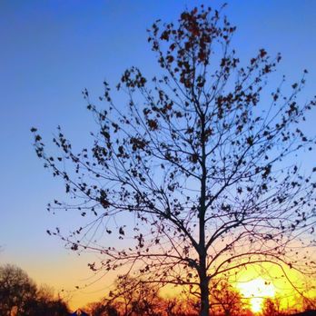 Windhaven Meadows Park - Early morning views - Parks Near Me - Plano, Texas