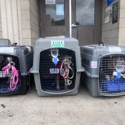 Animal Quarantine - But worth it