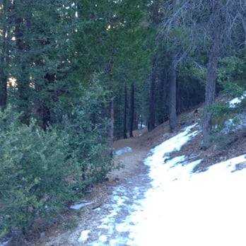 Cooper Canyon Falls - Solid ice trail - Hiking Near Me - La Canada Flintridge, California