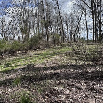 Goodyear Heights Metro Park - In this photo you'll see the view off the trail, stunning. - Parks Near Me - Akron, Ohio Goodyear Heights Metro Park - In this photo you'll see the view off the trail, stunning. - Parks Near Me - Akron, Ohio
