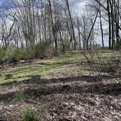 Goodyear Heights Metro Park - In this photo you'll see the view off the trail, stunning.
