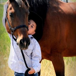 The Bar R Ranch - The Bar R Ranch LLC