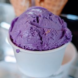 Timothy's Frozen Yogurt - Ube