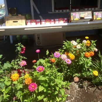 Fruit and Vegetable Stand - a variety of flowers - Fruits & Veggies Near Me Fruit and Vegetable Stand - a variety of flowers - Fruits & Veggies Near Me
