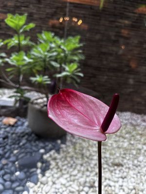 The Gaia Hotel by null