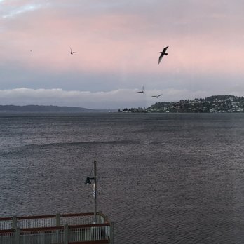Silver Cloud Hotel - Tacoma Waterfront - View of the sound. - Hotels Near Me - Tacoma, Washington Silver Cloud Hotel - Tacoma Waterfront - View of the sound. - Hotels Near Me - Tacoma, Washington