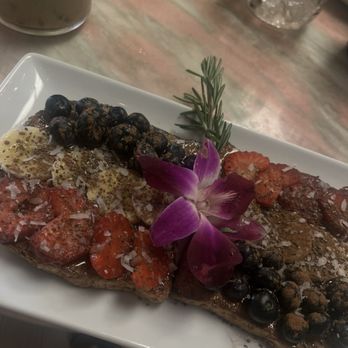 The Modern Rose - Healthy Nut - Coffee & Tea Near Me - Hollywood, Florida The Modern Rose - Healthy Nut - Coffee & Tea Near Me - Hollywood, Florida