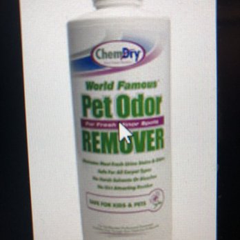 Five Star Chem-Dry - Our pet odor remover removes the nasties from your carpet - Carpet Cleaning Near Me - Bothell, Washington