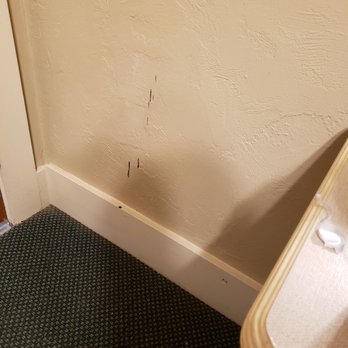 Hotel Mac Rae - Splats on the wall. What is it? We don't know - Hotels Near Me - Avalon, California