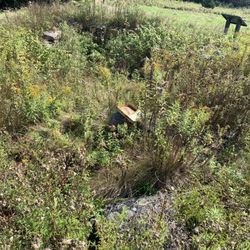 Tennis Preserve Loop Trail - Looking down into the granite foundation of the former "root" aka storage cellar.