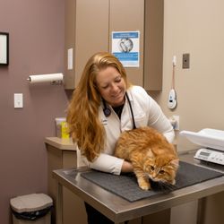 Chatham-Kent Veterinary Hospital