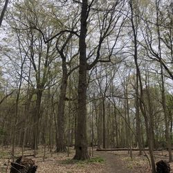 Eliza Howell Park