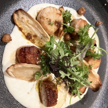 The Sacred Cod - Seared native scallops - Cocktail Bars Near Me - Chatham, Massachusetts The Sacred Cod - Seared native scallops - Cocktail Bars Near Me - Chatham, Massachusetts
