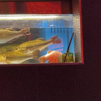 Jade Dynasty - Chinese Near Me - Minneapolis, Minnesota Jade Dynasty - Chinese Near Me - Minneapolis, Minnesota