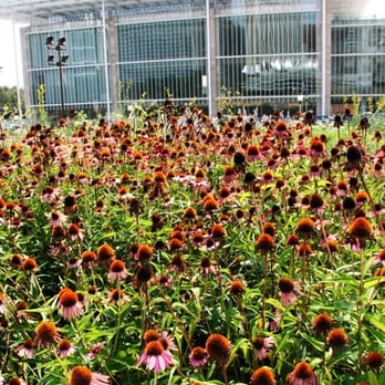 Millennium Park - (photographed by Dave Hong) - Parks Near Me - Chicago, Illinois Millennium Park - (photographed by Dave Hong) - Parks Near Me - Chicago, Illinois