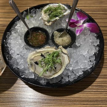 Blufish Sushi Bistro - Oysters on a Half Shell - Japanese Near Me - Vernon Hills, Illinois Blufish Sushi Bistro - Oysters on a Half Shell - Japanese Near Me - Vernon Hills, Illinois