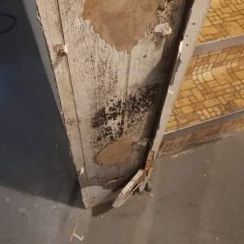 Redex Pest And Mold - Pest Control Near Me - Cleveland, Ohio Redex Pest And Mold - Pest Control Near Me - Cleveland, Ohio