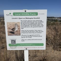 Bluff Trail Park - Local Wildlife Facts