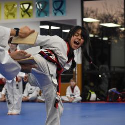Yong In Master Lee's Tae Kwon Do
