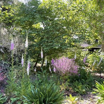 Cafe Wisteria - Garden - Cafes Near Me - Menlo Park, California
