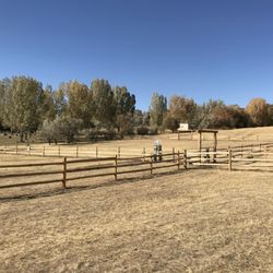 Craig Dog Park - Very large areas for the doggos