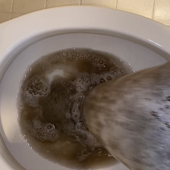 3D Clean All - Dirty water from carpet cleaning - Carpet Cleaning Near Me - Tampa, Florida 3D Clean All - Dirty water from carpet cleaning - Carpet Cleaning Near Me - Tampa, Florida
