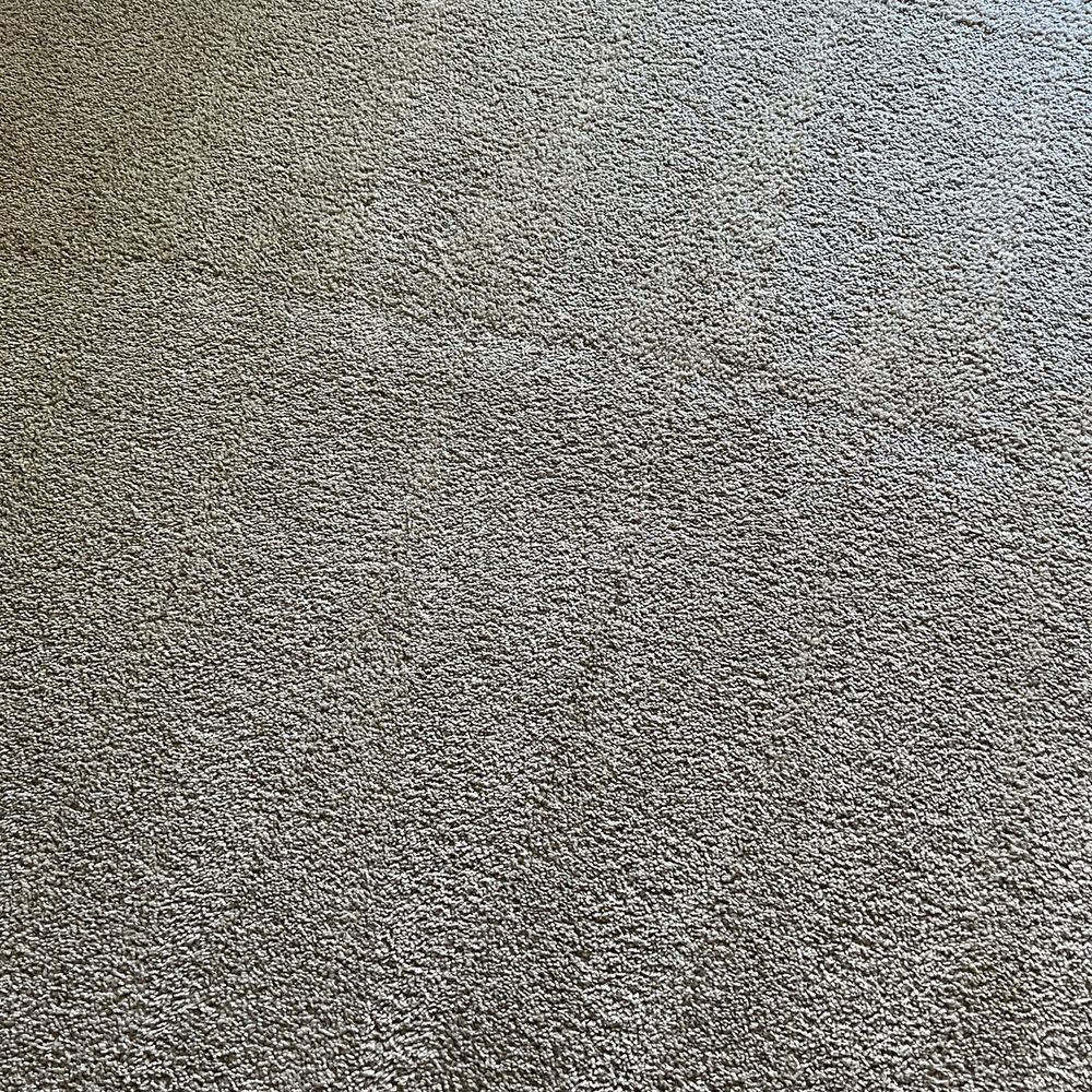 Michael's Carpet Care - After - Carpet Cleaning Near Me - Citrus Heights, California
