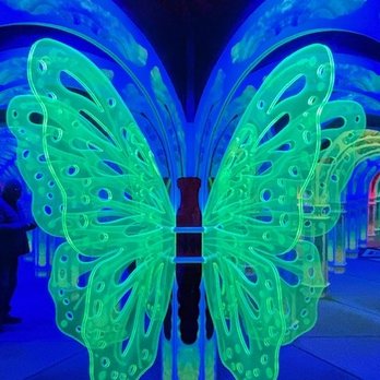 Magowan's Infinite Mirror Maze - Arts & Entertainment Near Me - San Francisco, California Magowan's Infinite Mirror Maze - Arts & Entertainment Near Me - San Francisco, California