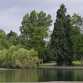Green Lake Park - Beautiful late spring foliage (6/4/17) - Parks Near Me - Seattle, Washington Green Lake Park - Beautiful late spring foliage (6/4/17) - Parks Near Me - Seattle, Washington