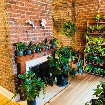 The Secret Garden - Nurseries & Gardening Near Me - Chattanooga, Tennessee