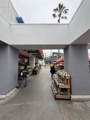 Trader Joe's by null