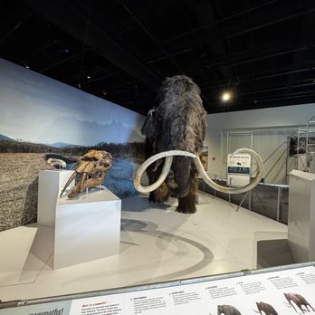 EcoTarium - Museums Near Me - Worcester, Massachusetts