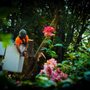 Photo of Harrity Tree Specialists
