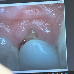 East Village Dental Centre